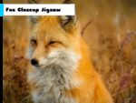 Fox Closeup Jigsaw
