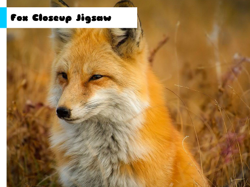 Imaginea Fox Closeup Jigsaw